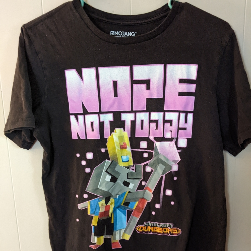 Minecraft Dungeon The Arch-Illager Women's Size XL (14-16) T-Shirt Mojang